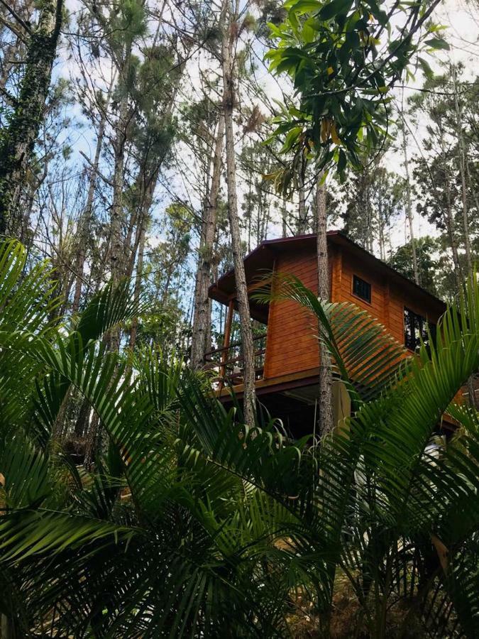 Casa De Arbol, Rancho Tierra Alta Hotel Jarabacoa Bagian luar foto